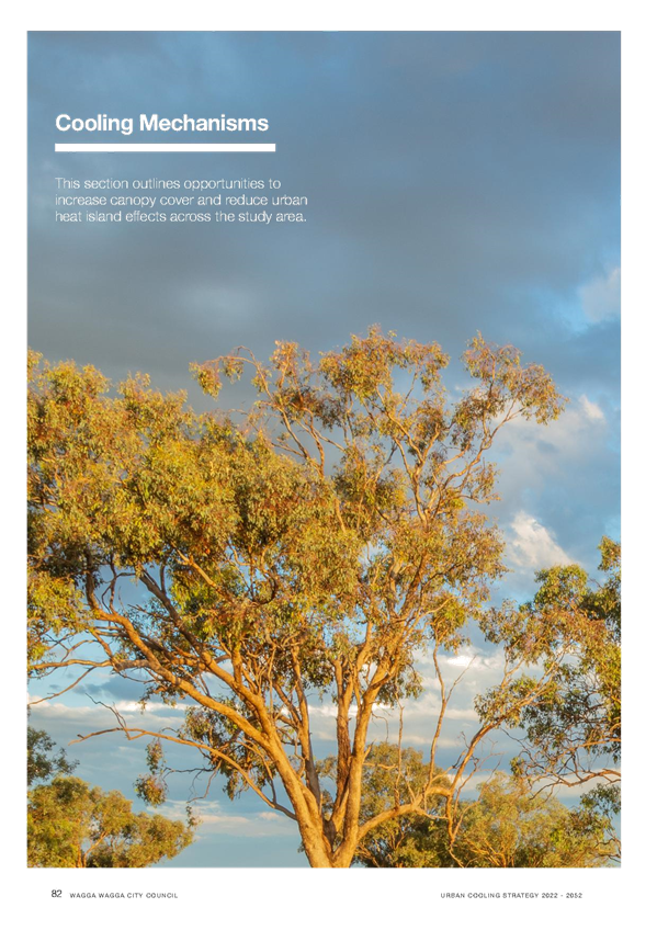 A tree with yellow leaves

Description automatically generated with medium confidence